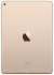 Apple iPad Air 2